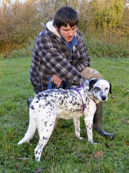 Linda-Romanian-Rescue-Dog-PACT-Animal-Sanctuary