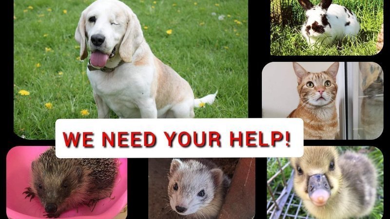 Please sign our petition - Animal charities need help