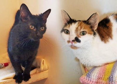 Ebony & Callie