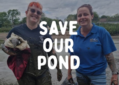 Save our pond