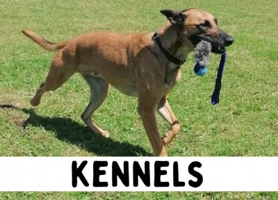 Kennels