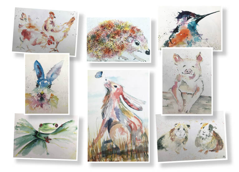 Pact Charity Christmas Cards Animal Sanctuary Wildlife Sanctury Charity Christmas Cards
